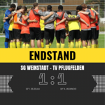 Punkteteilung