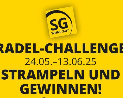 SG-Radel-Challenge