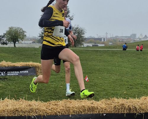 Auftakt der Cross Saison mit Deutschen Cross-Cup