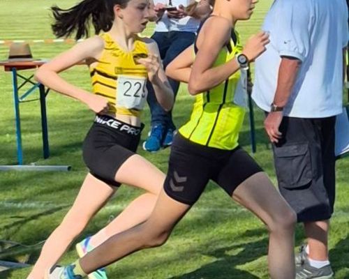 Top Platzierungen für Weinstädter Laufnachwuchs in Renningen