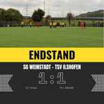 Punkteteilung